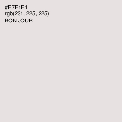 #E7E1E1 - Bon Jour Color Image